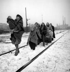 The Business of Fighting: a Human Face on World War II