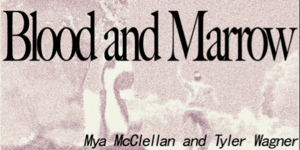 IMSS Performance: Blood and Marrow