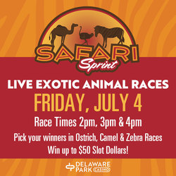 Safari Sprint at Delaware Park Casino