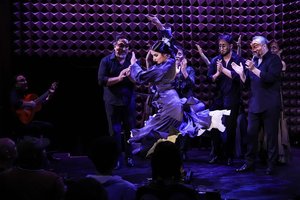 Noche Flamenca