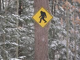 Bigfoot Presentation at Vineland Public Library