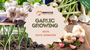 Garlic Growing Workshop