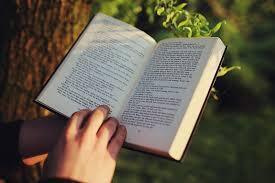Chapter One Book Club at Vineland Public Library