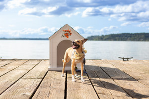 Pet Adoption Event at Hyatt Regency Lake Washington