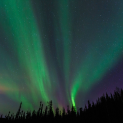 Northern Lights Adventure