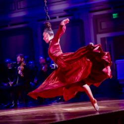 Troupe Vertigo: Cirque Carmen