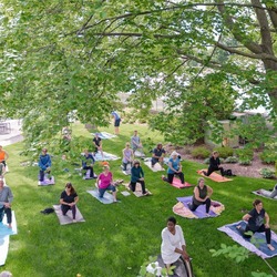 Yoga Reflect Series from Lakewood Cemetery