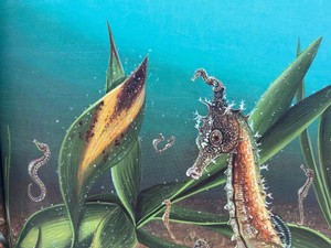 Nature Book and Look