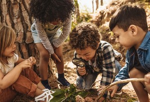 Sapling Summer Explorers
