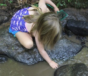 Creek Seekers Stream Watch