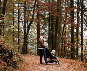 Babes in the Woods