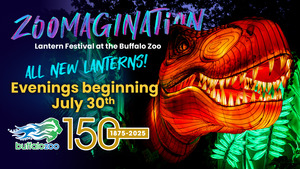 Zoomagination: Lanter Festival at the Bufalo Zoo