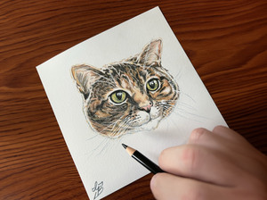 Drawing with Color Pencils