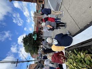 Summer Sunday Stroll - Down in the Valley: Exploring the Gut