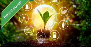 Online Certificate in Renewable Energy Fundamentals: Τhe Path to Net Zero