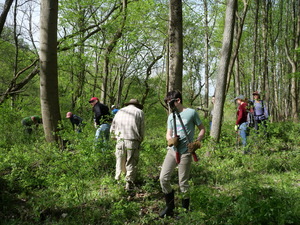 Volunteer Workday: Donegal Highlands Nature Preserve