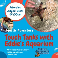 Touch Tanks with Eddie's Aquarium