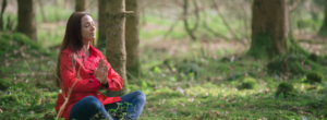 Forest Bathing: Mindfulness in Nature with Adventure East at Chesterfield Gorge