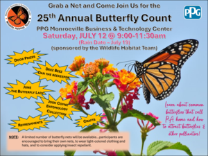 Annual Butterfly Count - Grab a Net and Join Us! Saturday, July 12 @9:00-11:30 AM at PPG Monroeville