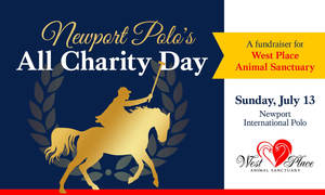 All Charity Day: Newport Polo