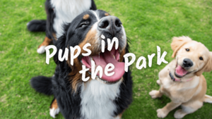 Pups in the Park at Heartwood Preserve: Paw Print Craft