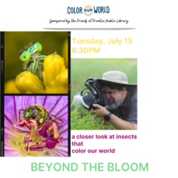 Beyond THe Bloom - Insect Macro Photography
