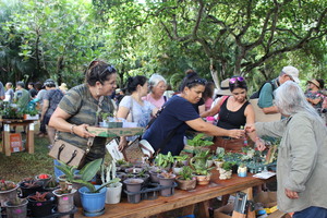 Board of Water Supply's Unthirsty Plant Sale