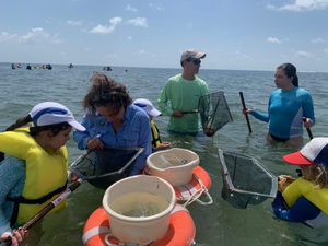 Sea Life Up Close: Aquariums, Touch Tanks & Coastal Creatures