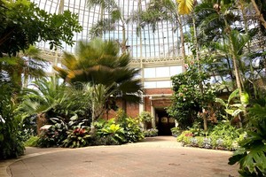 Sensory Hour at the Botanical Gardens