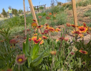 MLPAA annual directors meeting