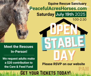 PAH Open Stable Day