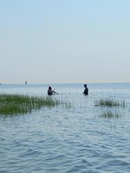 Fred Elser First Sunday Science: Exploring Coastal Ecosystems