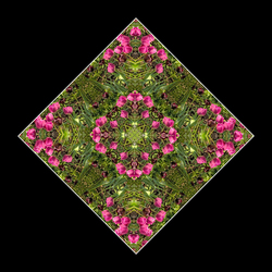 Kaleidoscopes - Scattered Patterns