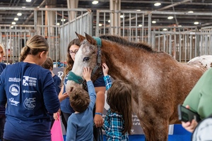 Free Family Fun Day at the Pennsylvania National Horse Show