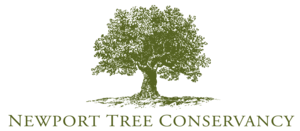 Tree Corps Volunteer
