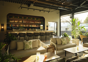 Music Under The Stars