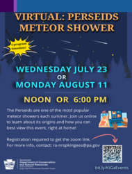 PERSEIDS METEOR SHOWER