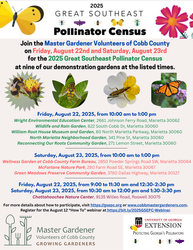 Great Southeast Pollinator Census - Citizen Science at Work!