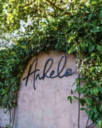Anhelo Opens in New Scottsdale Location