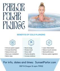 Parlor Polar Plunge