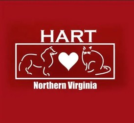 HART (Homeless Animals Rescue Team) Dog Adoption Event