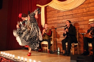 Sol Flamenco: Dance and Music of Spain July 24