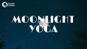 Moonlight Yoga