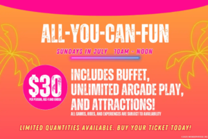 Wonderverse Presents: All-You-Can-Fun this Summer!