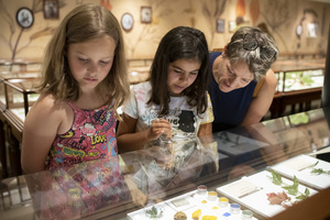 Double Take Exhibit Exploration