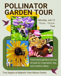 Pollinator Garden Tour
