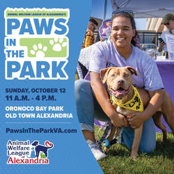 Paws in the Park