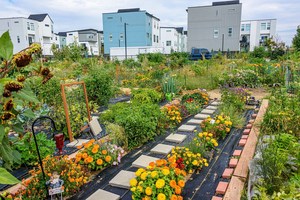 Reciprocity & Restoration: Healing our Community in the Garden