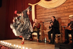 Sol Flamenco Music and Dance of SPAIN