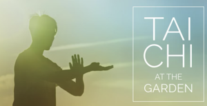 Tai Chi at the Garden